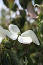 COKTEUTO_20250805153126.JPG