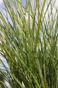 MISGRACI_20250805113042.JPG