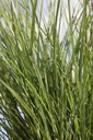 MISGRACI_20250805113052.JPG