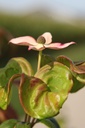 COKSATOM_20250806101510.JPG