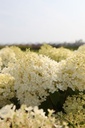 HYPBOBO_20250806112304.JPG