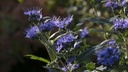 CACBMIDN_20140929165700.jpg