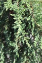 JUCGMANT_20250821105252.JPG
