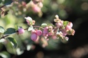 SYDAMETH_20250821092428.JPG