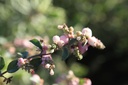 SYDAMETH_20250821092430.JPG