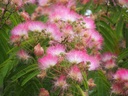 ALJTDREA_20160725061027.JPG