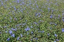 CEWILLMO_20250829111933.JPG
