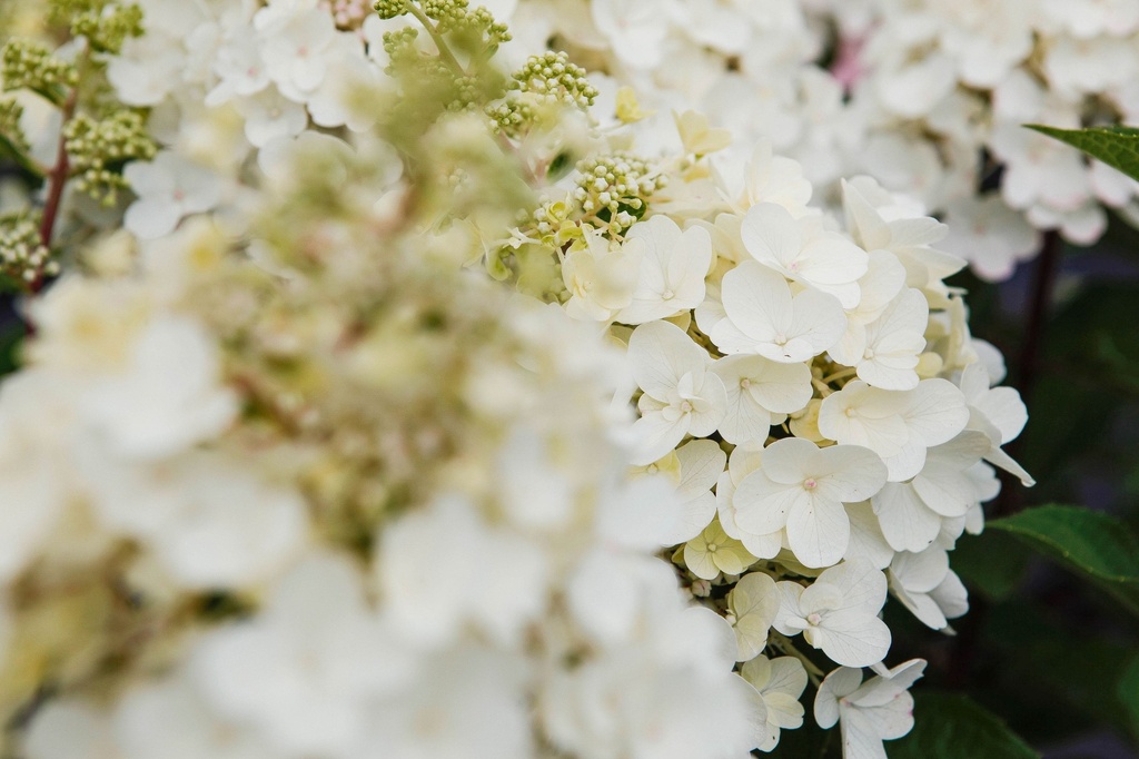 HYPPWINK_20170706160742 3_xlarge.jpeg