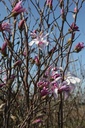 MASROSEA_20260309153504.JPG