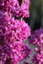CECAVOND_20260321111030.JPG