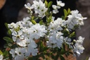 EXRNIAGA_20260321105144.JPG
