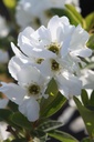 EXRNIAGA_20260321105148.JPG
