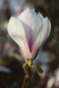 MASASUPE_20260321092802.JPG