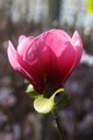MAWATERM_20260321113248.JPG