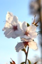 PRBRIDE_20260321092925.JPG