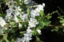 EXBRIDE_20260328111801.JPG