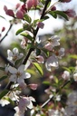 MASTYME_20260328101218.JPG