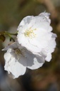 PRSSBOUL_20260328100437.JPG