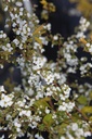 SPPGOLDF_20260328102236.JPG