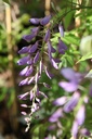 WISPROLI_20260409112100.JPG