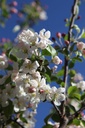 MAEVERES_20260407100940.JPG
