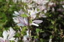 MAGHKERN_20260407155616.JPG