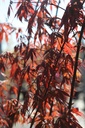 ACPSNAGA_20260407112627.JPG