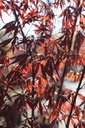 ACPSNAGA_20260407112638.JPG