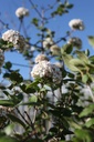 VICARLCE_20260407101048.JPG