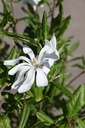 MASTELLA_20260407155950.JPG