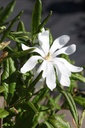 MASTELLA_20260407155952.JPG