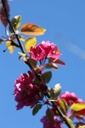 MASTYME_20260407100756.JPG