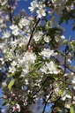 MASTYME_20260407100858.JPG