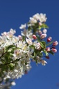 MASTYME_20260407100904.JPG