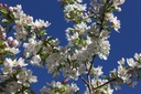MASTYME_20260407100906.JPG