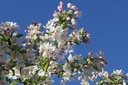 MASTYME_20260407100918.JPG