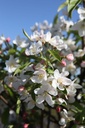 MASTYME_20260407104750.JPG