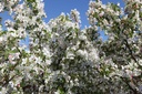 MASTYME_20260407142306.JPG