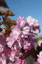 PRSKANZA_20260407104932.JPG
