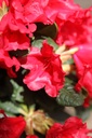 RHMOEDER_20260407150940.JPG