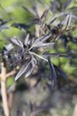 SANBLACE_20260407104504.JPG
