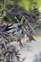 SANBLACE_20260407104508.JPG
