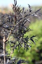 SANBLACE_20260407104512.JPG