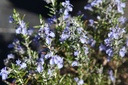 ROOBCASC_20260409150458.JPG
