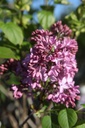 SYHESTAL_20260409094144.JPG