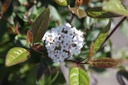 VITSPIRI_20260409150004.JPG