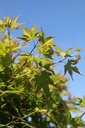 ACPALMAT_20260409143738.JPG