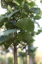 TIEPALLI_20260625080934.JPG
