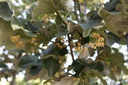 TITBRABA_20260625081146.JPG