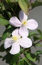 CLMMAYLE_20260717134727.JPG